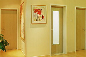 Interior Doors